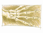 Farbskizze